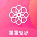 土豆加速器app