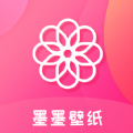 风赛3官网app