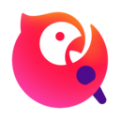 老王vp电脑