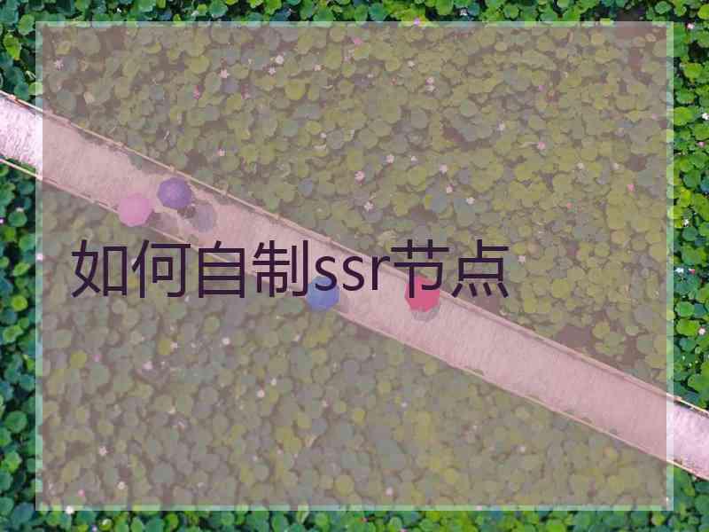 如何自制ssr节点