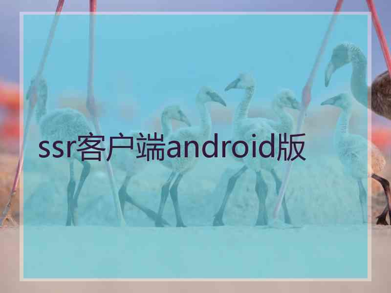 ssr客户端android版