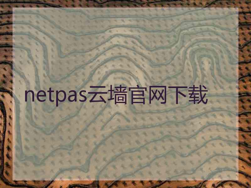 netpas云墙官网下载