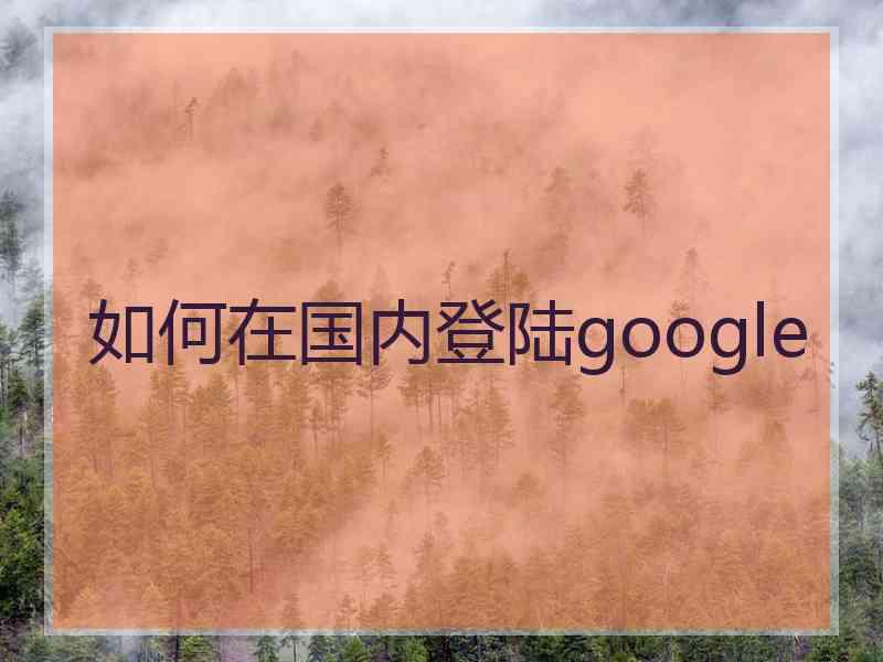 如何在国内登陆google