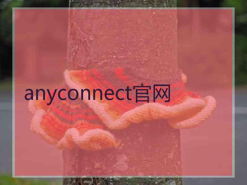 anyconnect官网