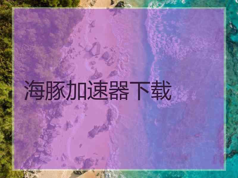 海豚加速器下载