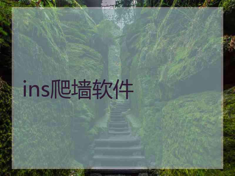 ins爬墙软件