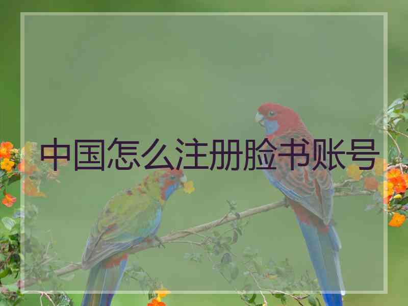 中国怎么注册脸书账号