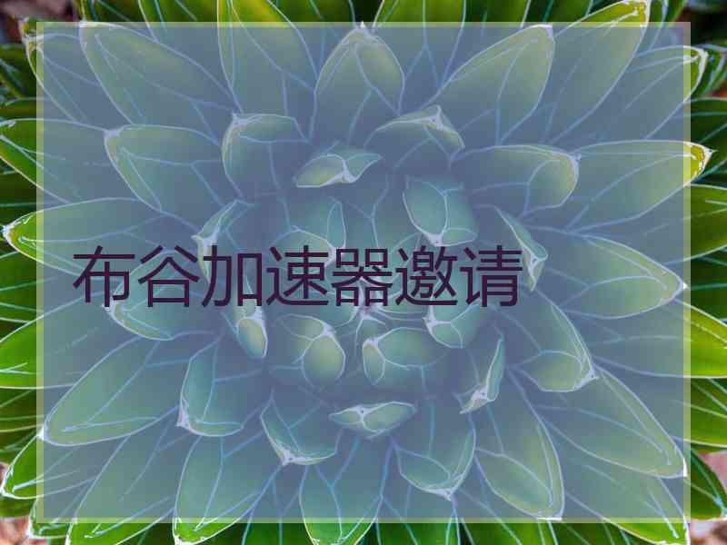 布谷加速器邀请