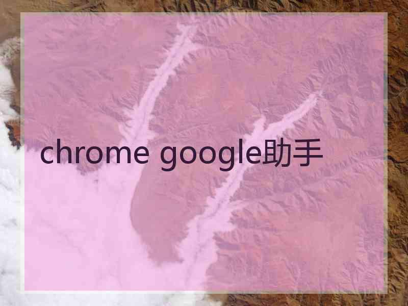 chrome google助手