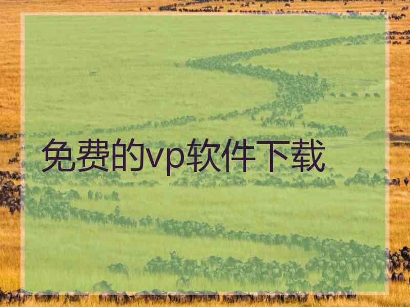 免费的vp软件下载