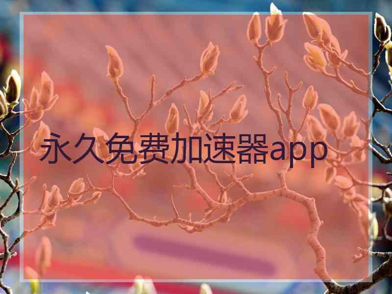 永久免费加速器app