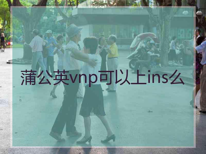 蒲公英vnp可以上ins么