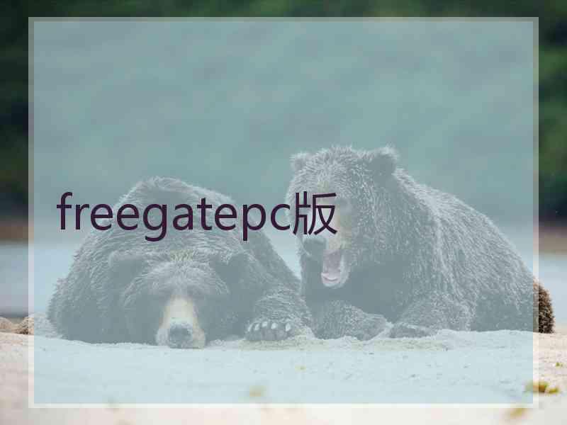 freegatepc版