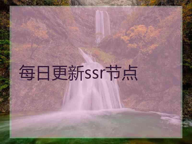 每日更新ssr节点