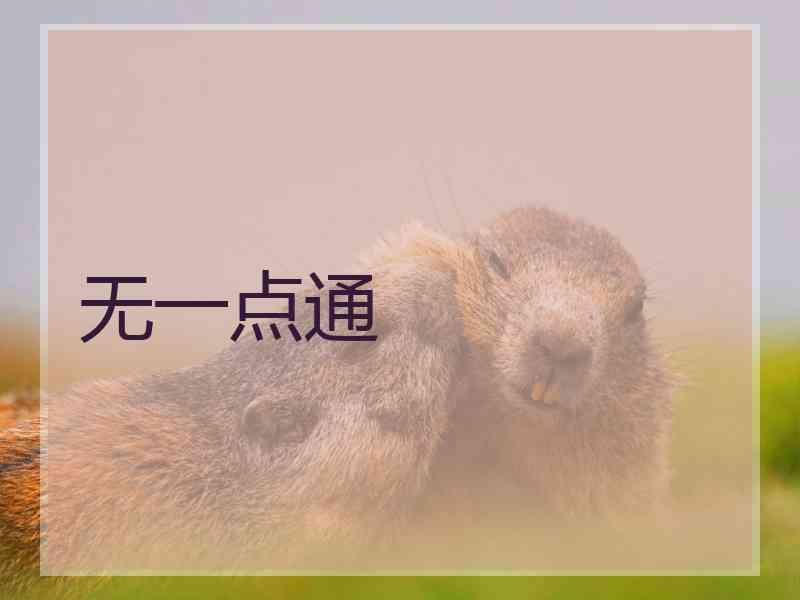 无一点通