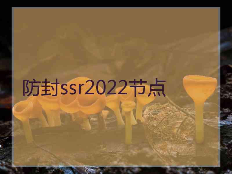 防封ssr2022节点
