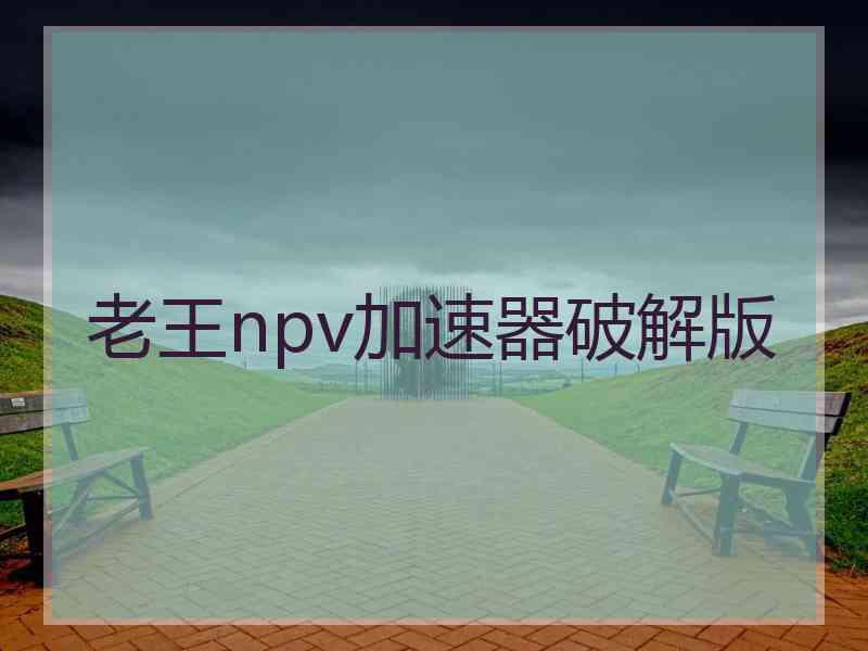 老王npv加速器破解版