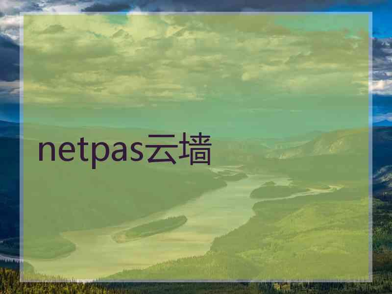 netpas云墙