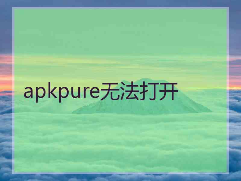 apkpure无法打开