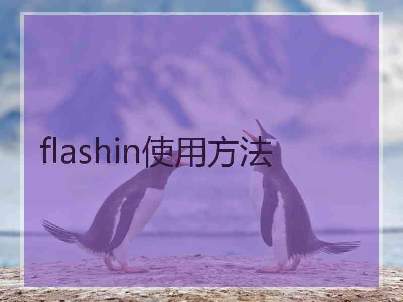 flashin使用方法