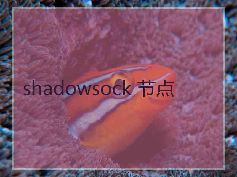 shadowsock 节点