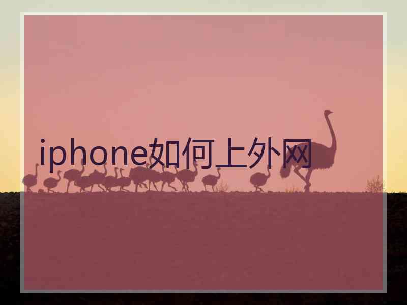 iphone如何上外网