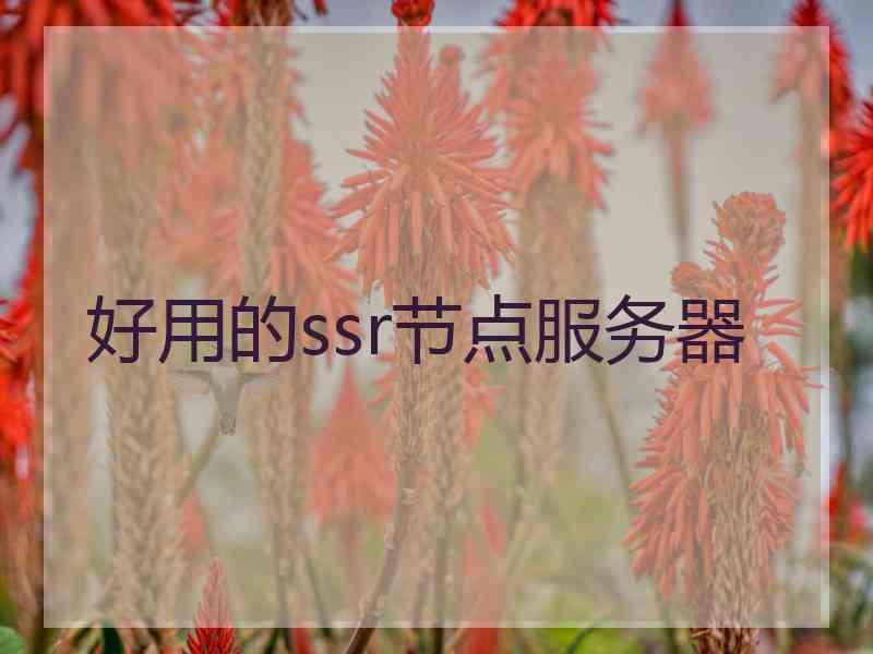 好用的ssr节点服务器