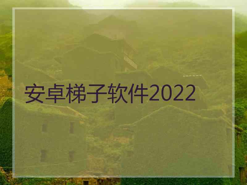 安卓梯子软件2022