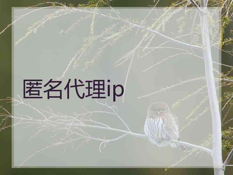 匿名代理ip