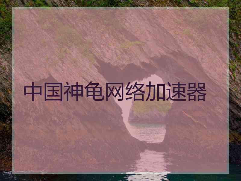 中国神龟网络加速器