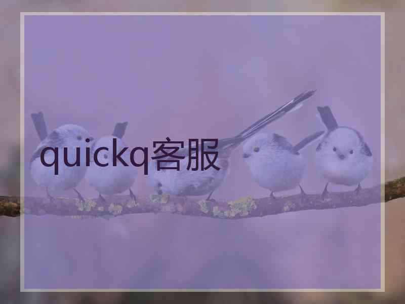 quickq客服