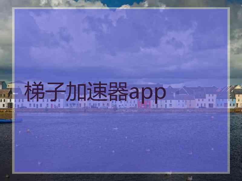 梯子加速器app