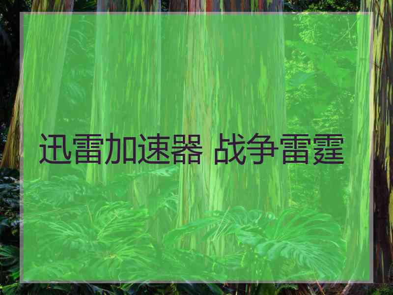 迅雷加速器 战争雷霆