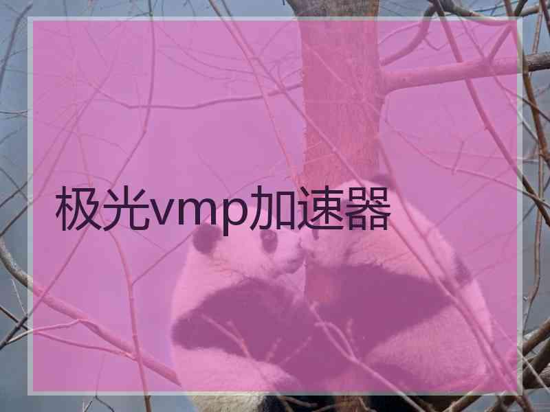 极光vmp加速器