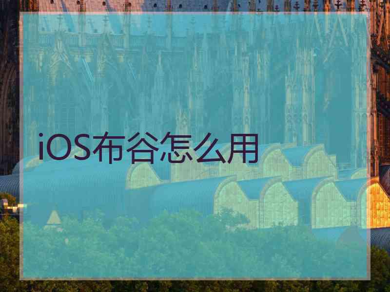 iOS布谷怎么用