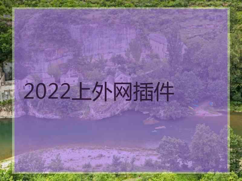 2022上外网插件