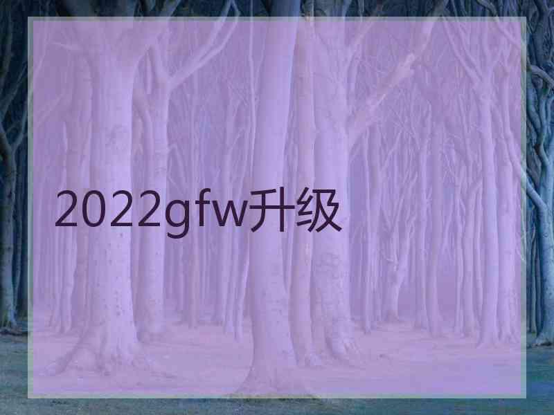 2022gfw升级