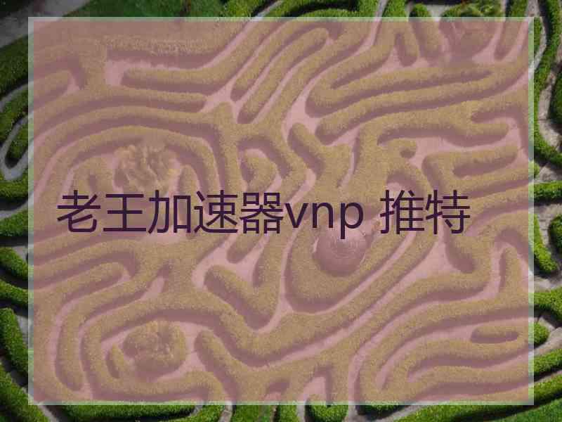 老王加速器vnp 推特