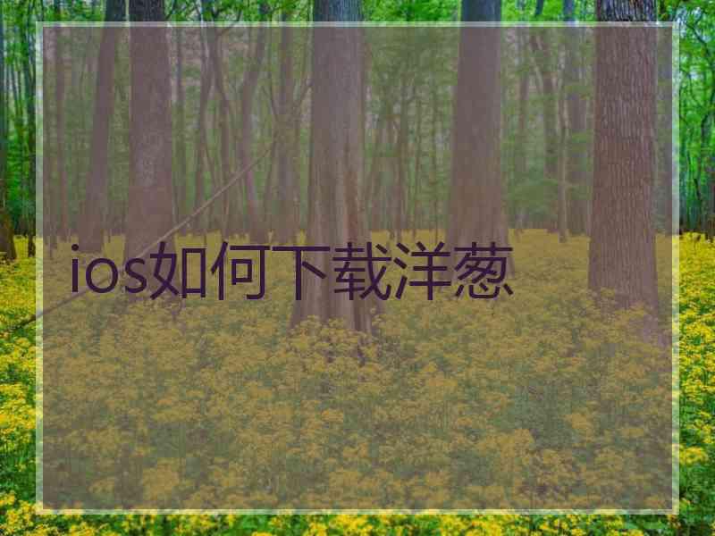 ios如何下载洋葱